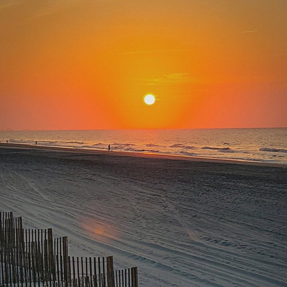 Meet your Posher, Annette